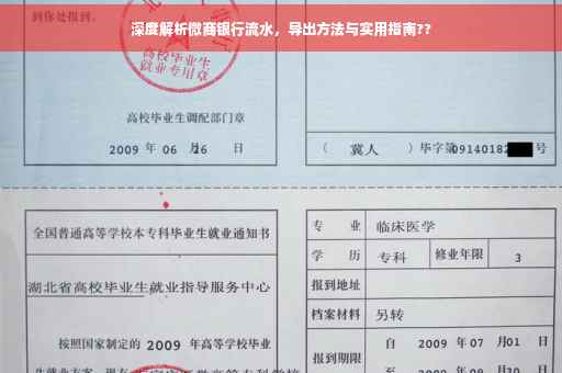 深度解析微商银行流水，导出方法与实用指南??