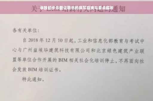 事故初步诊断证明书的撰写指南与要点解析