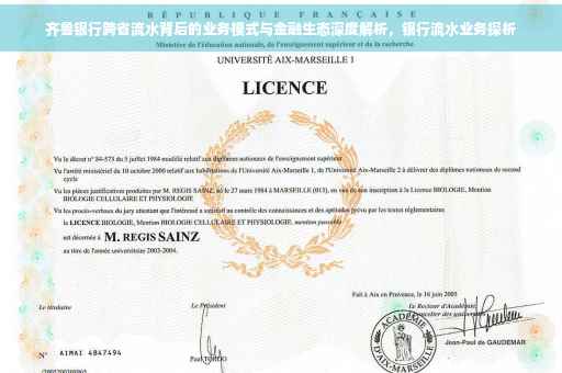齐鲁银行跨省流水背后的业务模式与金融生态深度解析，银行流水业务探析