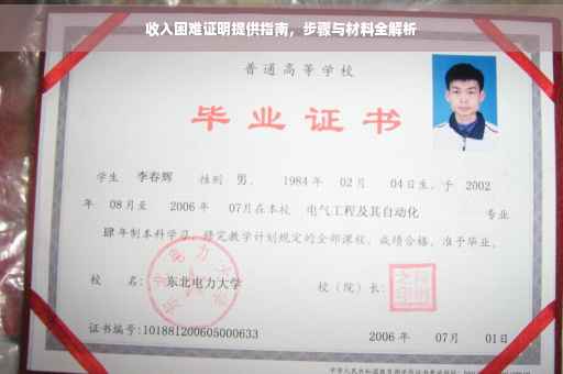 收入困难证明提供指南，步骤与材料全解析