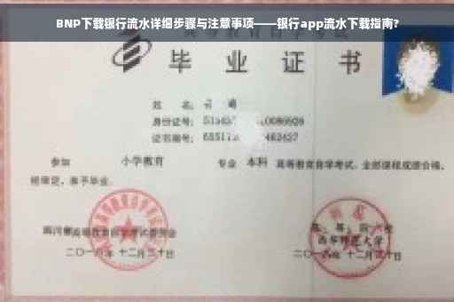 BNP下载银行流水详细步骤与注意事项——银行app流水下载指南?