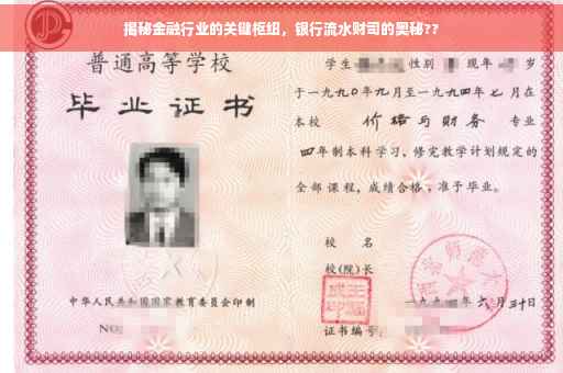 揭秘金融行业的关键枢纽，银行流水财司的奥秘??