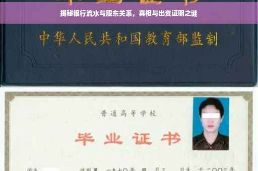 揭秘银行流水与股东关系，真相与出资证明之谜