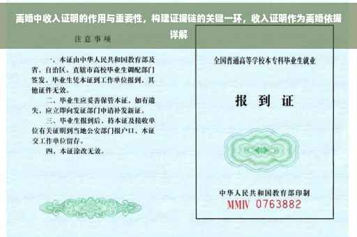 离婚中收入证明的作用与重要性，构建证据链的关键一环，收入证明作为离婚依据详解