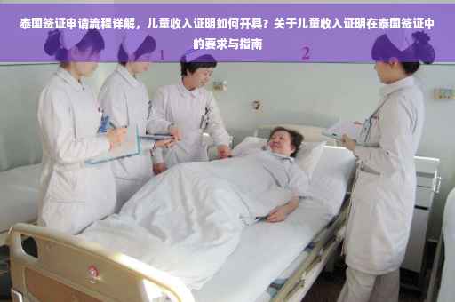 泰国签证申请流程详解，儿童收入证明如何开具？关于儿童收入证明在泰国签证中的要求与指南