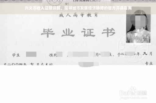 兴义市收入证明详解,探寻城市发展经济脉搏的官方开具指南 兴义市收入证明详解,探寻城市发展经济脉搏的官方开具指南