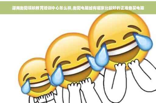 湖南衡阳领航教育培训中心怎么样,衡阳电脑城有哪家比较好的正准备买电脑