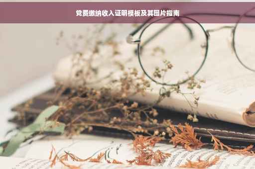 党费缴纳收入证明模板及其图片指南