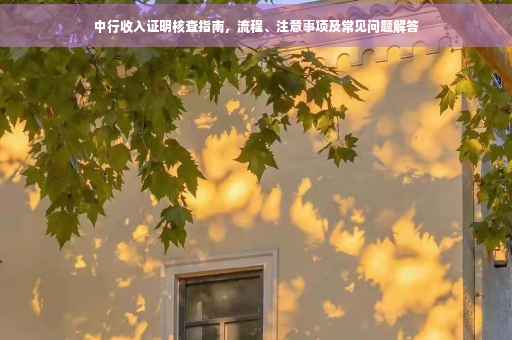 中行收入证明核查指南，流程、注意事项及常见问题解答