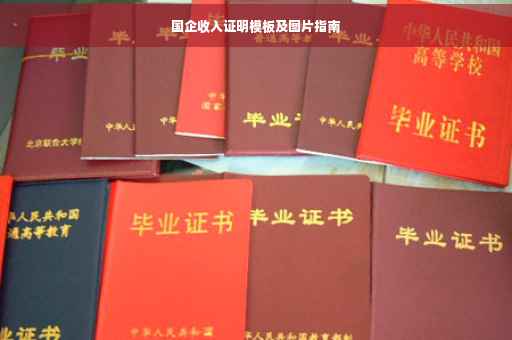 国企收入证明模板及图片指南