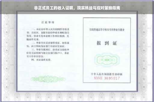 非正式员工的收入证明，现实挑战与应对策略指南
