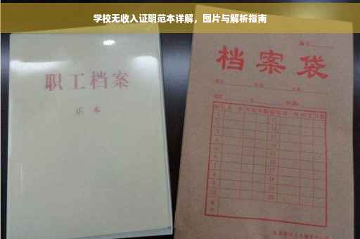学校无收入证明范本详解，图片与解析指南