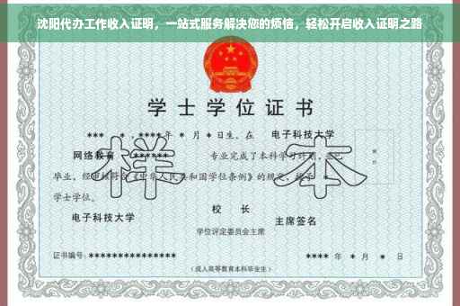 沈阳代办工作收入证明，一站式服务解决您的烦恼，轻松开启收入证明之路