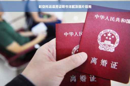 航空托运适用证明书详解及图片指南