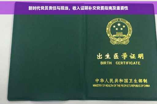 新时代党员责任与担当，收入证明补交党费指南及重要性