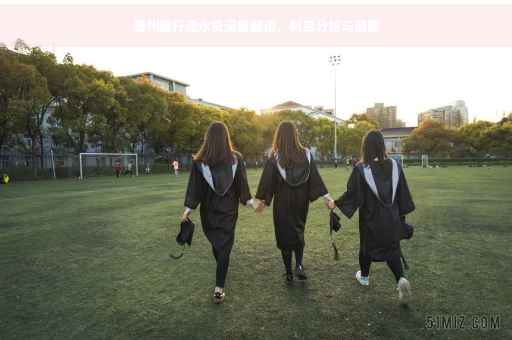 晋州银行流水贷深度解读，利率分析与洞察