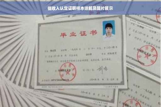 低收入认定证明样本详解及图片展示