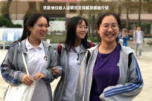 贷款单位收入证明范文详解及模板介绍