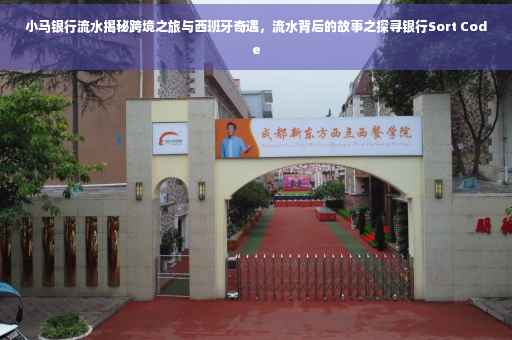 小马银行流水揭秘跨境之旅与西班牙奇遇，流水背后的故事之探寻银行Sort Code
