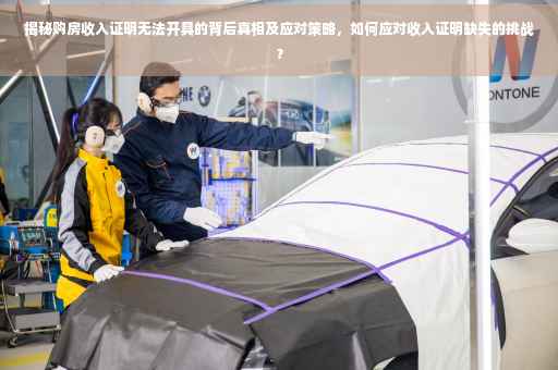 揭秘购房收入证明无法开具的背后真相及应对策略，如何应对收入证明缺失的挑战？