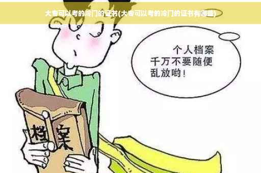 大专可以考的冷门的证书(大专可以考的冷门的证书有哪些)