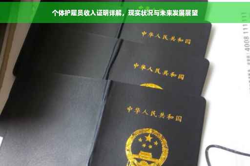 个体护雇员收入证明详解，现实状况与未来发展展望