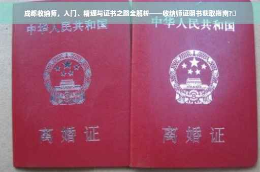 成都收纳师，入门、精通与证书之路全解析——收纳师证明书获取指南?✨