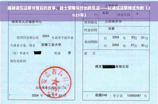 揭秘退伍证明书背后的故事，战士荣耀与付出的见证——以退伍证明格式为例（2023年）
