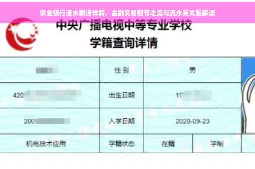 农业银行流水翻译详解，金融交易细节之美与流水英文版解读