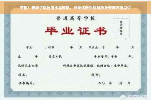 警惕！查妻子银行流水需谨慎，涉及违法犯罪风险及查询方法探讨
