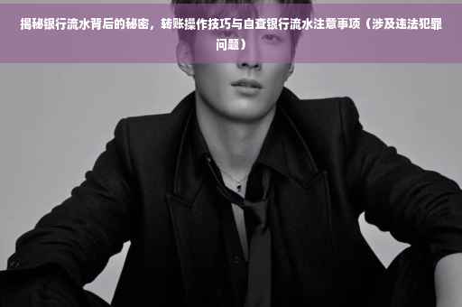 揭秘银行流水背后的秘密，转账操作技巧与自查银行流水注意事项（涉及违法犯罪问题）