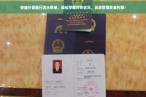 快捷计算银行流水账单，轻松掌握财务状况，高效管理资金利器！