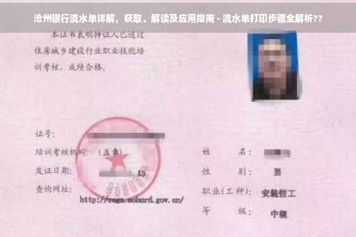 沧州银行流水单详解，获取、解读及应用指南 - 流水单打印步骤全解析??