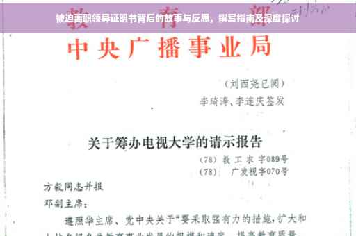 被迫离职领导证明书背后的故事与反思，撰写指南及深度探讨