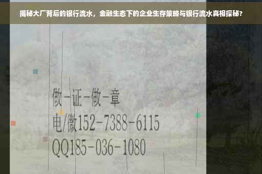 揭秘大厂背后的银行流水，金融生态下的企业生存策略与银行流水真相探秘?