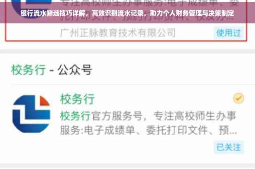 银行流水筛选技巧详解，高效识别流水记录，助力个人财务管理与决策制定