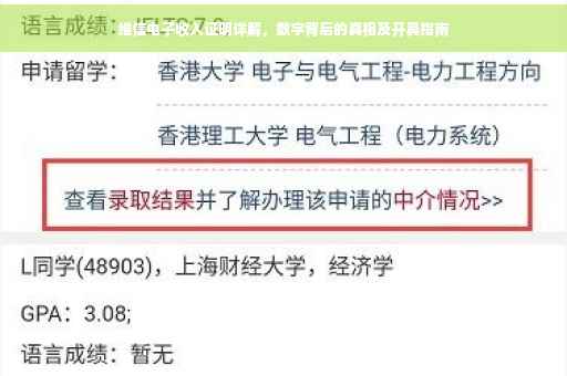 维信电子收入证明详解，数字背后的真相及开具指南