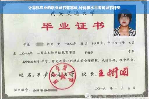 计算机专业的职业证书有哪些,计算机水平考试证书种类