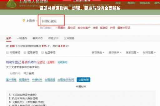证明书撰写指南，步骤、要点与范例全面解析