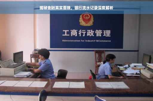揭秘金融真实面貌，银行流水记录深度解析