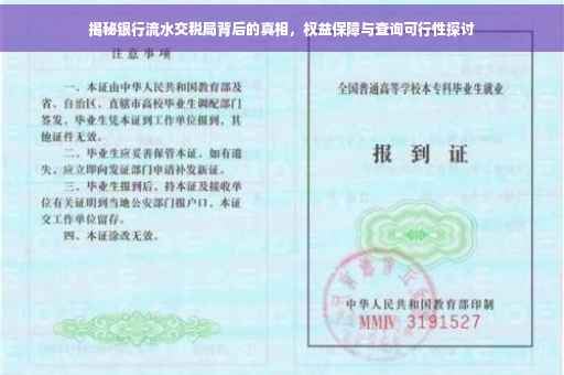揭秘银行流水交税局背后的真相，权益保障与查询可行性探讨