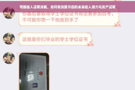 预期收入证明详解，如何有效展示你的未来收入潜力与资产证明