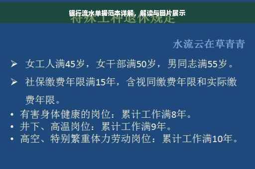 银行流水单据范本详解，解读与图片展示