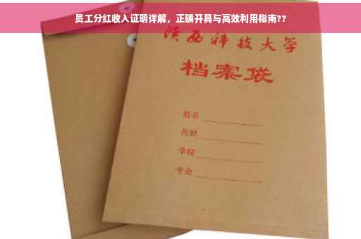 员工分红收入证明详解，正确开具与高效利用指南??
