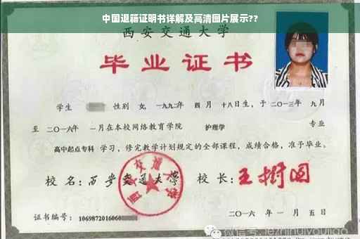 中国退籍证明书详解及高清图片展示??