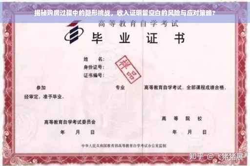 揭秘购房过程中的隐形挑战，收入证明留空白的风险与应对策略?