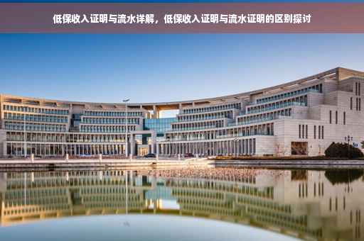 低保收入证明与流水详解，低保收入证明与流水证明的区别探讨