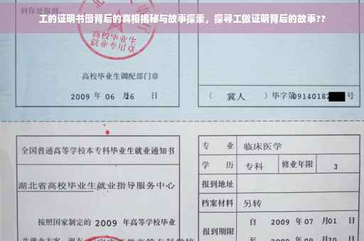 工的证明书图背后的真相揭秘与故事探索，探寻工做证明背后的故事??