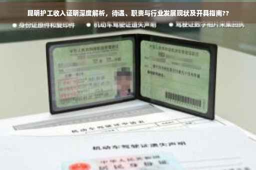 昆明护工收入证明深度解析，待遇、职责与行业发展现状及开具指南??