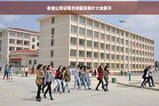 香港公司证明书详解及图片大全展示